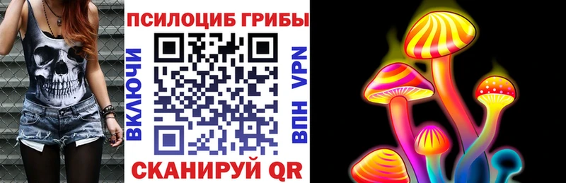 Галлюциногенные грибы Magic Shrooms  Томилино 